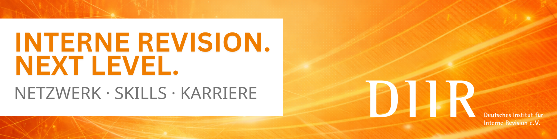 Header von DIIR - Deutsches Institut für Interne Revision e.V.