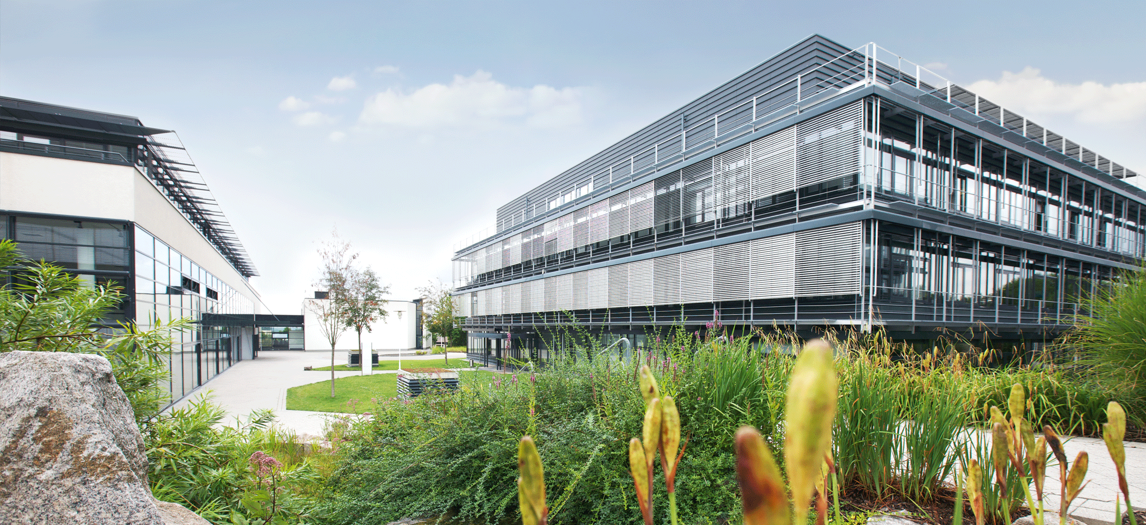 Header von MLP Finanzberatung SE